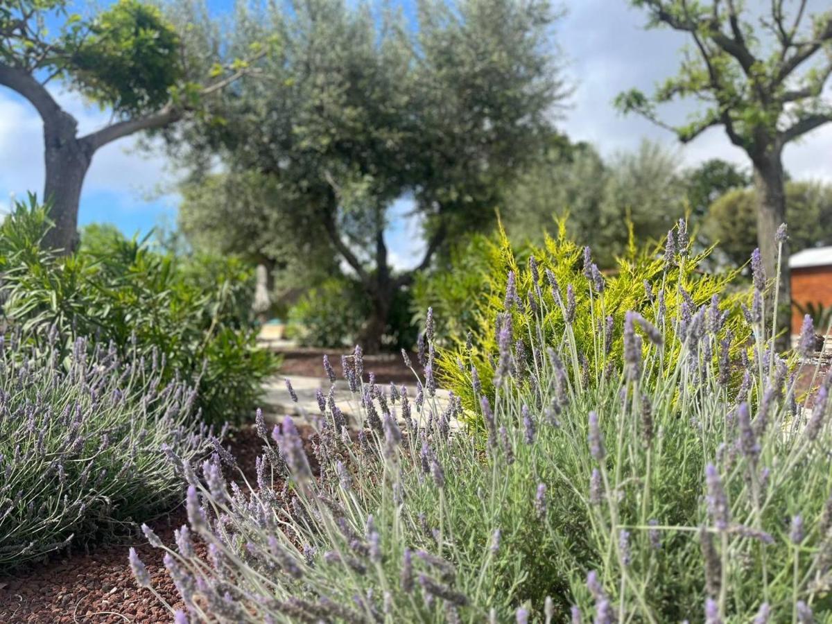 Appartement Maison Dei Trulli à Locorotondo Extérieur photo