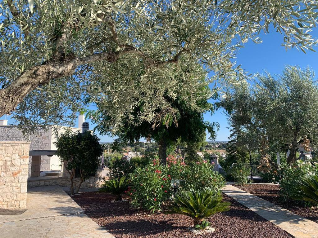 Appartement Maison Dei Trulli à Locorotondo Extérieur photo